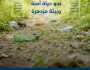 “البيئة” تطلق حملة توعوية لتعزيز السلوكيات الإيجابية تجاه البيئة