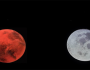 يُرصد بسماء الوطن العربي.. اقتران القمر بالمريخ فجر الاثنين