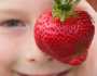 هل يمكن تناول الفراولة لمرضى السكري؟