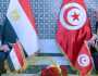وزيرا خارجية مصر وتونس يتمسكان بدعم مسار الحل الليبي- الليبي