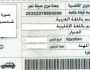 خطوات استخراج رخصة قيادة لأول مرة 2024.. الأوراق والرسوم المطلوبة