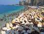 مصايف الإسكندرية: إقبال متوسط على الشواطئ اليوم