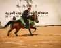 إعلان جوائز الفائزين فى مسابقة تراث أدب الخيل بمهرجان الشرقية للخيول العربية