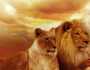 تفسير رؤيا «الأسد» والحيوانات المفترسة في المنام لابن سيرين