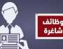 وظائف التضامن الاجتماعي.. التخصصات والشروط وكيفية التقديم