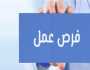 بمرتبات 15 ألف ريال.. شروط وتخصصات وظائف السعودية للمصريين