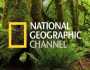 تردد قناة ناشيونال جيوغرافيك نايل سات 2025 HD.. اضبطها الآن على تليفزيونك