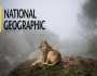 لمحبي البرامج الوثائقية.. تردد قناة ناشيونال جيوغرافك 2025 على نايل وعرب سات