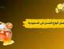 أفضل أنواع العسل في السعودية.. كيف تختار النوع المناسب لك؟