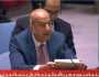 مندوب مصر بالأمم المتحدة: استمرار إسرائيل انتهاك سيادة الدول العربية خطر على الأمن الجماعي إقليميا ودولياً
