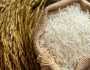 سعر الأرز الشعير اليوم الخميس 16 أكتوبر 2025 في الأسواق