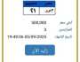 «مصر 21».. مزايدة نارية على لوحة سيارة مميزة