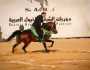 فتح باب التسجيل لبطولتي «أدب وجمال الخيل العربية» ضمن فعاليات مهرجان الشرقية