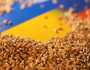 الولايات المتحدة تشدد على الحاجة الملحة لاستئناف تدفق الحبوب الأوكرانية عبر البحر الأسود