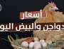 بورصة الدواجن اليوم.. أسعار الفراخ البيضاء وكرتونة البيض السبت 30 نوفمبر 2024