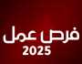 عاجل | مؤسسات حكومية تعلن عن وظائف شاغرة
