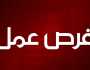 عاجل | بالأسماء .. وظائف حكومية شاغرة ومدعوون للاختبار التنافسي
