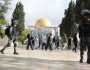 الاحتلال يقتحم باحات المسجد الأقصى بأول أيام العام الجديد