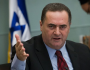 وزير الخارجية الإسرائيلي يدعو لتصفية سريعة للسنوار