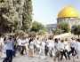 عشرات المستوطنين الصهاينة يقتحمون ساحات المسجد الأقصى
