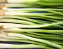 الفوائد المذهلة للبصل الأخضر