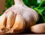 الثوم قبل النوم سرّ خطير لعلاج جميع أمراض الجسم