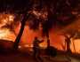 السلطات في كاليفورنيا تطلق تحذيرات وأوامر إجلاء بسبب حرائق الغابات