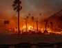بعد اندلاع حريق جديد في لوس أنجلوس.. أوامر بإخلاء أكثر من 50 ألف شخص