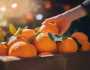 احذر!.. أطعمة ومشروبات يجب تجنبها عند تناول البرتقال