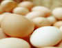 دراسة: تناول البيض قد يحسن صحة الدماغ ويخفض الكوليسترول