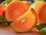 تعرف على فوائد قشر البرتقال التي تثير حماسة العلماء بسبب فائدتها