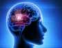 “عقلنا أبطأ مما نعتقد”.. دراسة تكشف الحد الأقصى لسرعة الدماغ البشري!