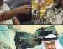 رد قوي على احلام الامارات بتحريك الجبهات