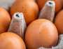 روسيا تنتظر البيض من تركيا للمساهمة في خفض الأسعار