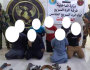 اعتقال ثمانية مطلوبين بتهمة المخدرات في ديالى