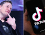ماسك يفكر بشراء “تيك توك”
