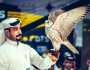 «سهيل 2023».. منصة عالمية لـ «الصيد والصقور»