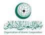 اللجنة التنفيذية لمنظمة التعاون الإسلامي تؤكد ضرورة وقف إطلاق النار في قطاع غزة وتسهيل عودة النازحين