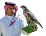 اختتام مشروع توثيق ملكيات الصقور