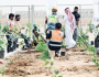 السعودية الخضراء .. تنمية الغطاء النباتي