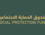 'صندوق الحماية' يصدر قرارا بتعديل منفعة الأشخاص ذوي الإعاقة