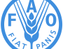 عُمان تشارك في اجتماعات 'الفاو'