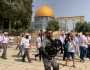 قطعان المستوطنين الصهاينة يقتحمون باحات المسجد الأقصى المبارك