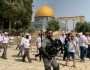 قطعان المستوطنين الصهاينة يقتحمون المسجد الأقصى المبارك