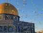 مطالبة فلسطينية بوضع حد للإنتهاكات الصهيونية في المسجد الأقصى