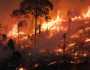 احتراق 22 مليون هكتار في البرازيل خلال العام الجاري