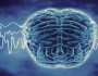 موجات الدماغ تمكن العلماء من قراءة نوايا الإنسان!