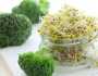 دراسة: تناول جرعة يومية من مستخلص براعم البروكلي يساعد على خفض سكر الدم