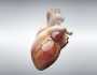 روسيا.. ابتكار نموذج قلب لعلاج الرجفان الأذيني