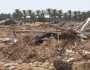 الفاو: 95 % من الأراضي في قطاع غزة لم تعد صالحة للزراعة